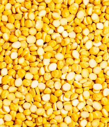 Chana Dal