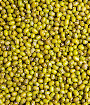 Mung Beans